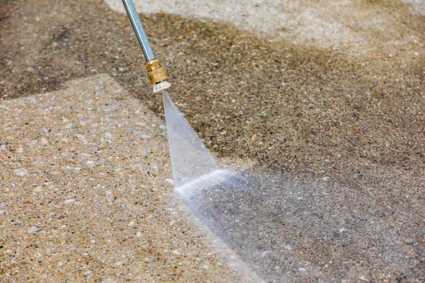 Best Boat and Dock Cleaning  in Holiday City Berkeley, NJ